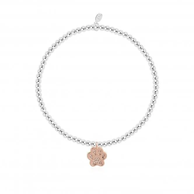 A Little A Little Love Has Four Paws Silver 17.5cm Stretch Bracelet 4303 Joma Jewellery