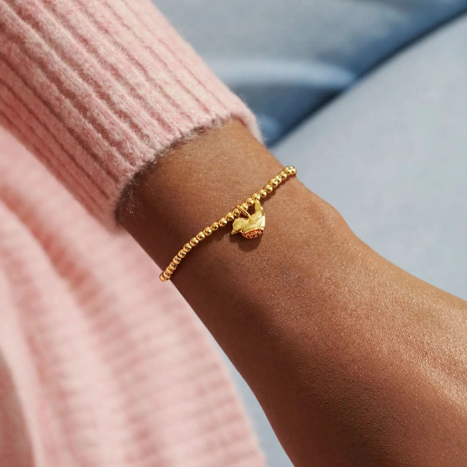 A Little Robins Appear When Loved Ones Are Near Gold Plated Bracelet 7592 Joma Jewellery