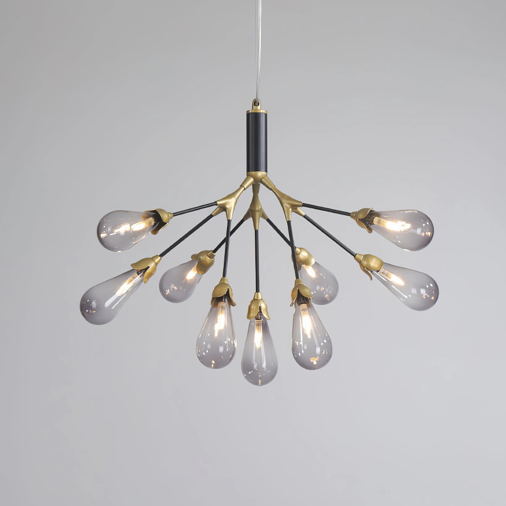 Aiwen Chandelier