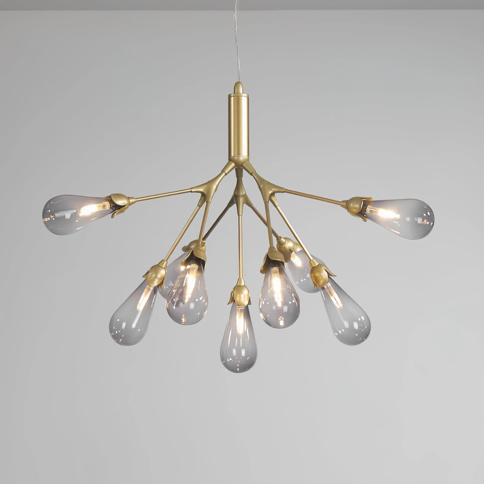 Aiwen Chandelier