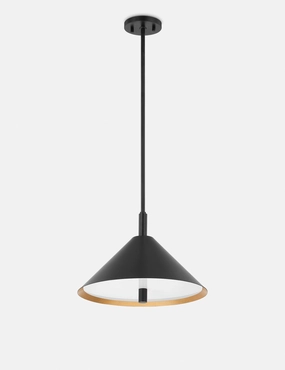 Alexander Pendant modern ceiling lamp