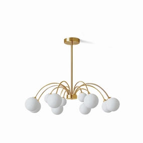 Apiales Chandelier flowerpot LED lamp