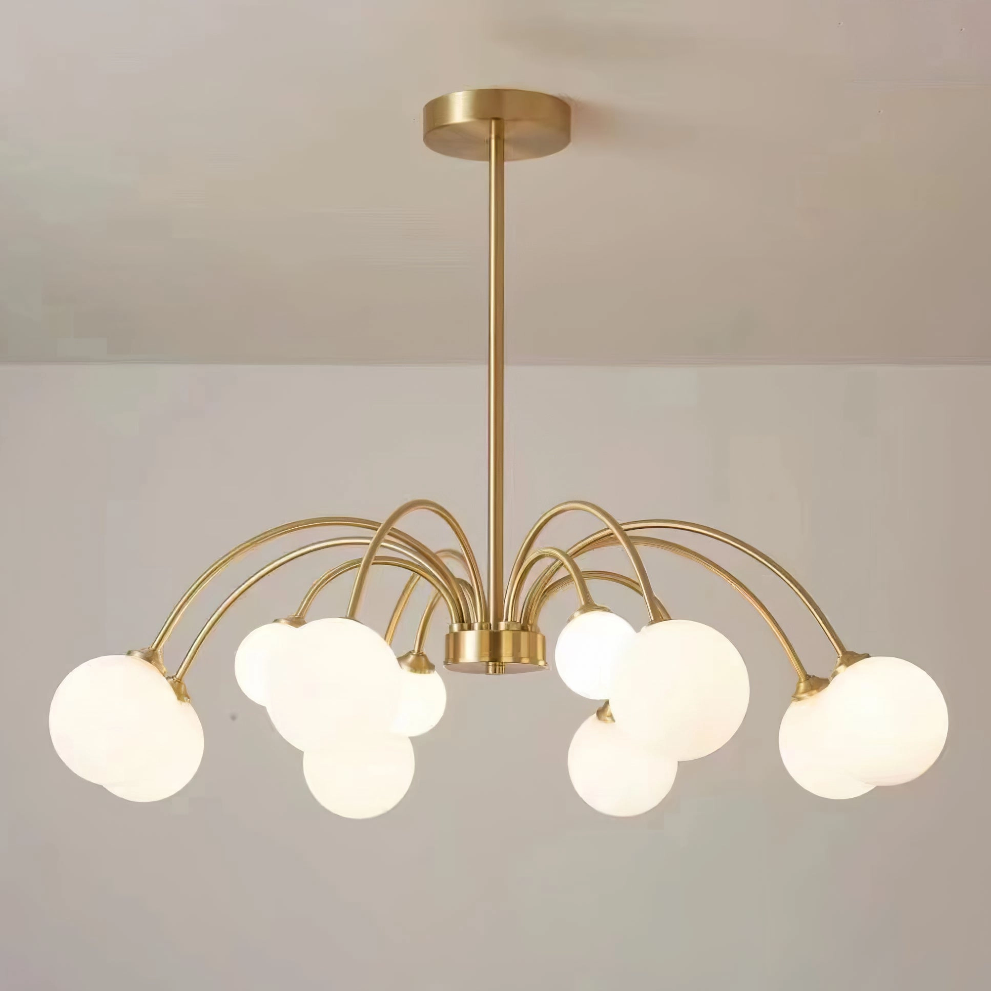 Apiales Chandelier