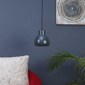 Apple Grey Metal Hanging Light by SS Lightings contemporary ceiling fixture