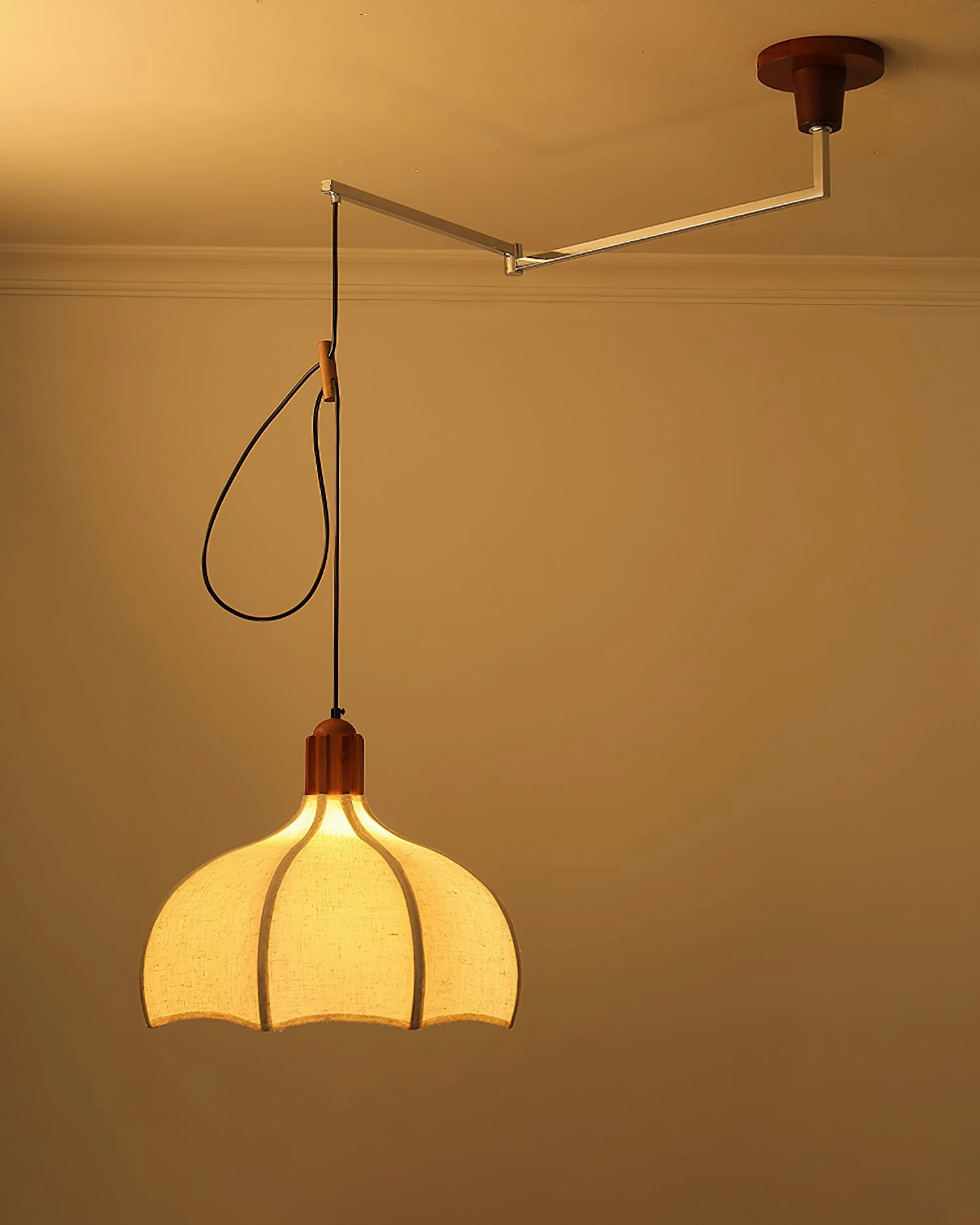 Arden Swing Arm Pendant Light