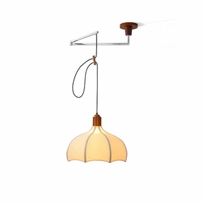 Arden Swing Arm Pendant Light minimalist ceiling light
