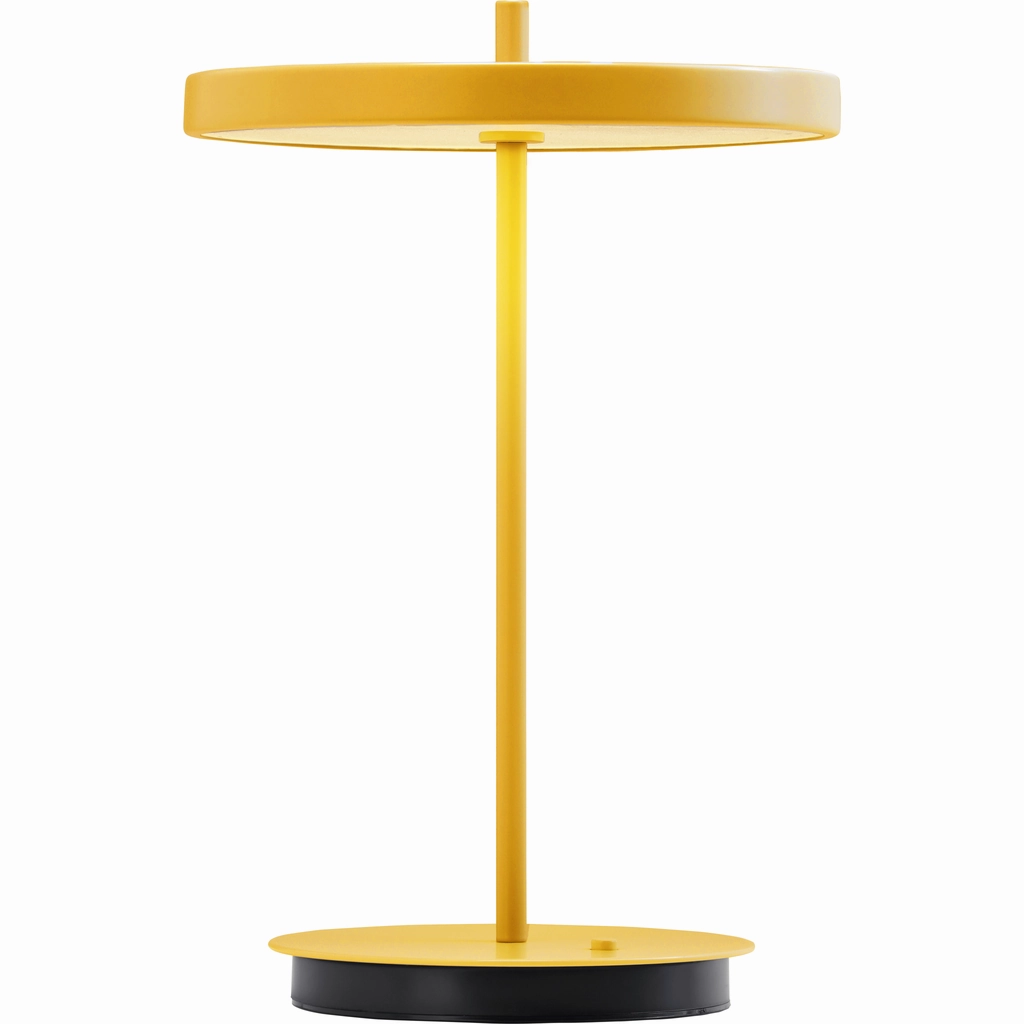 ASTERIA MOVE MONOCHROME SUNFLOWER PORTABLE LED