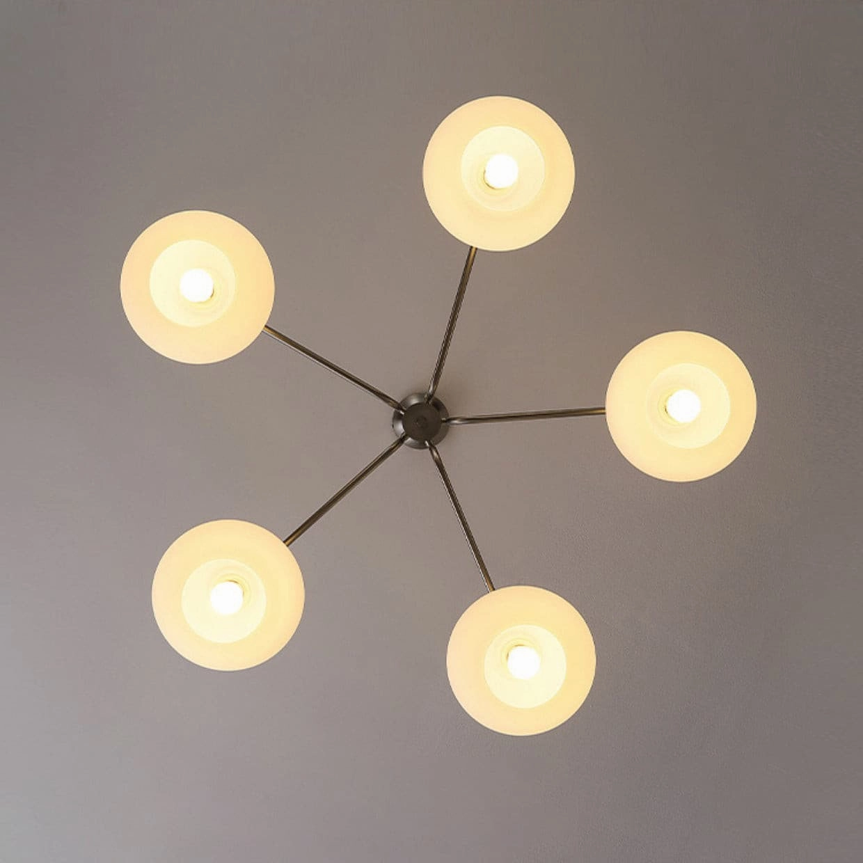 Barndon Chandelier
