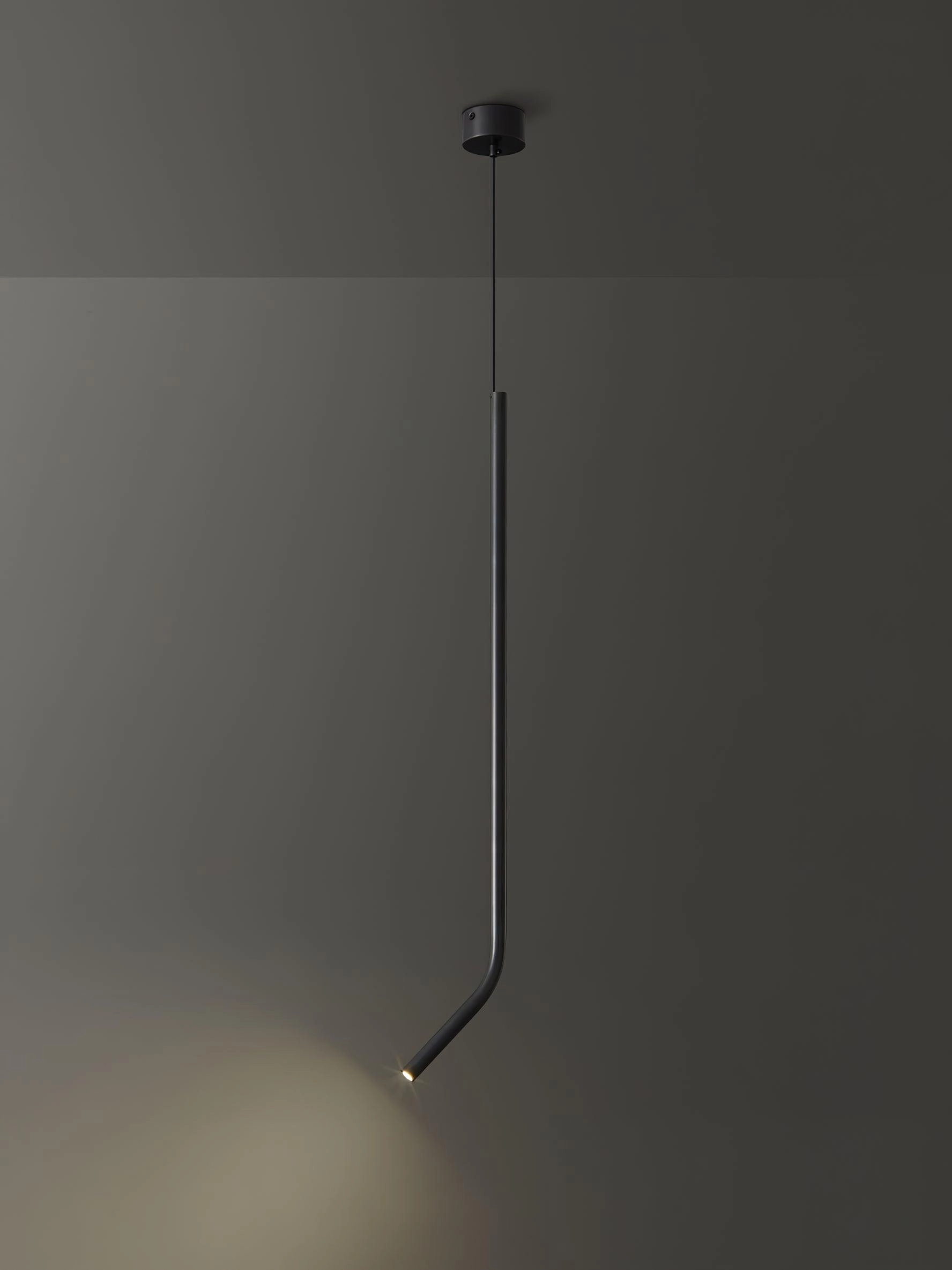 Bending Line Pendant Lamp