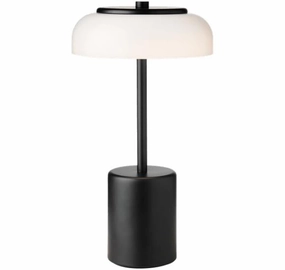 BLOSSI MINI PORTABLE SORT/OPAL LED ambient lighting fixture