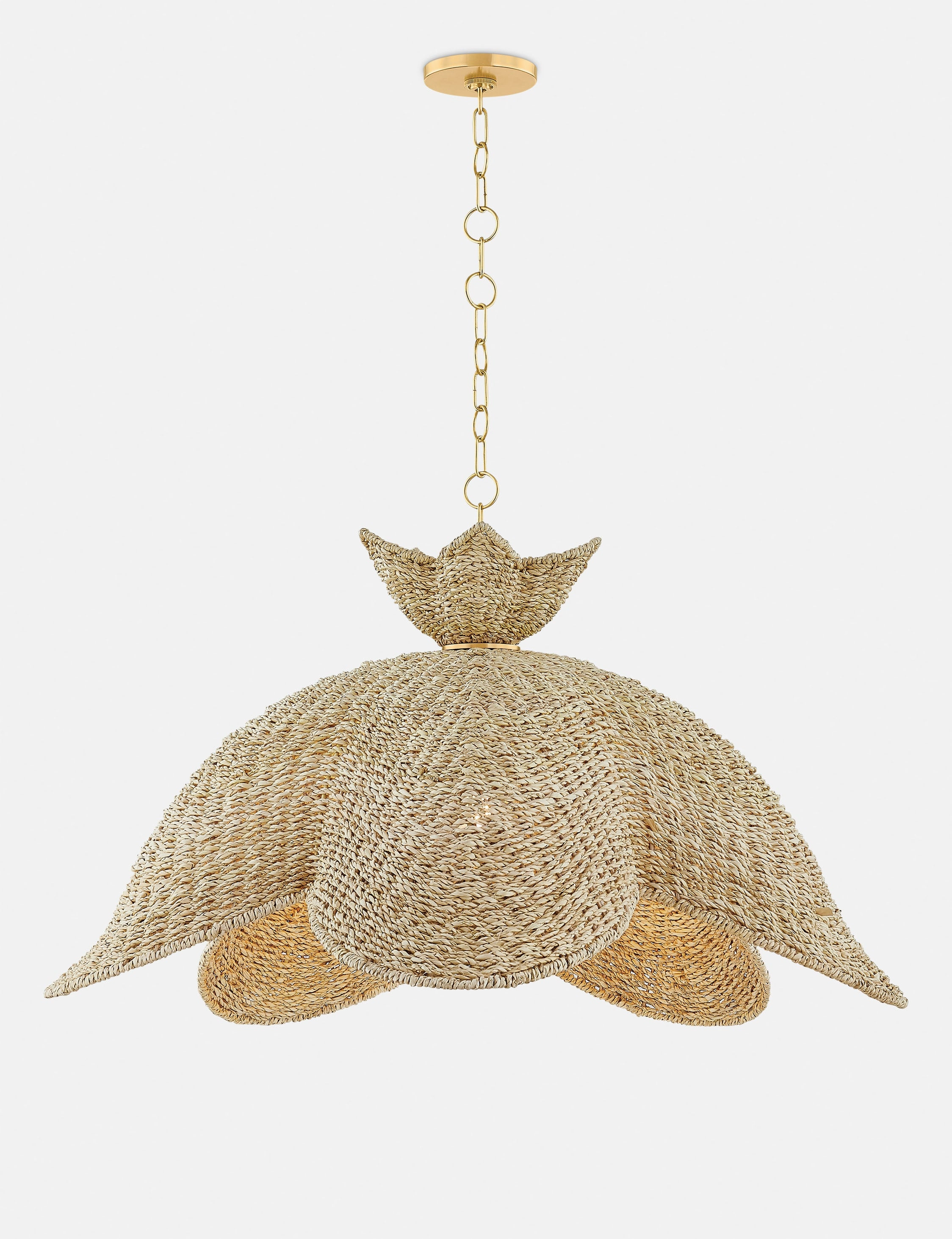 Calienne Pendant Light modern ceiling lamp