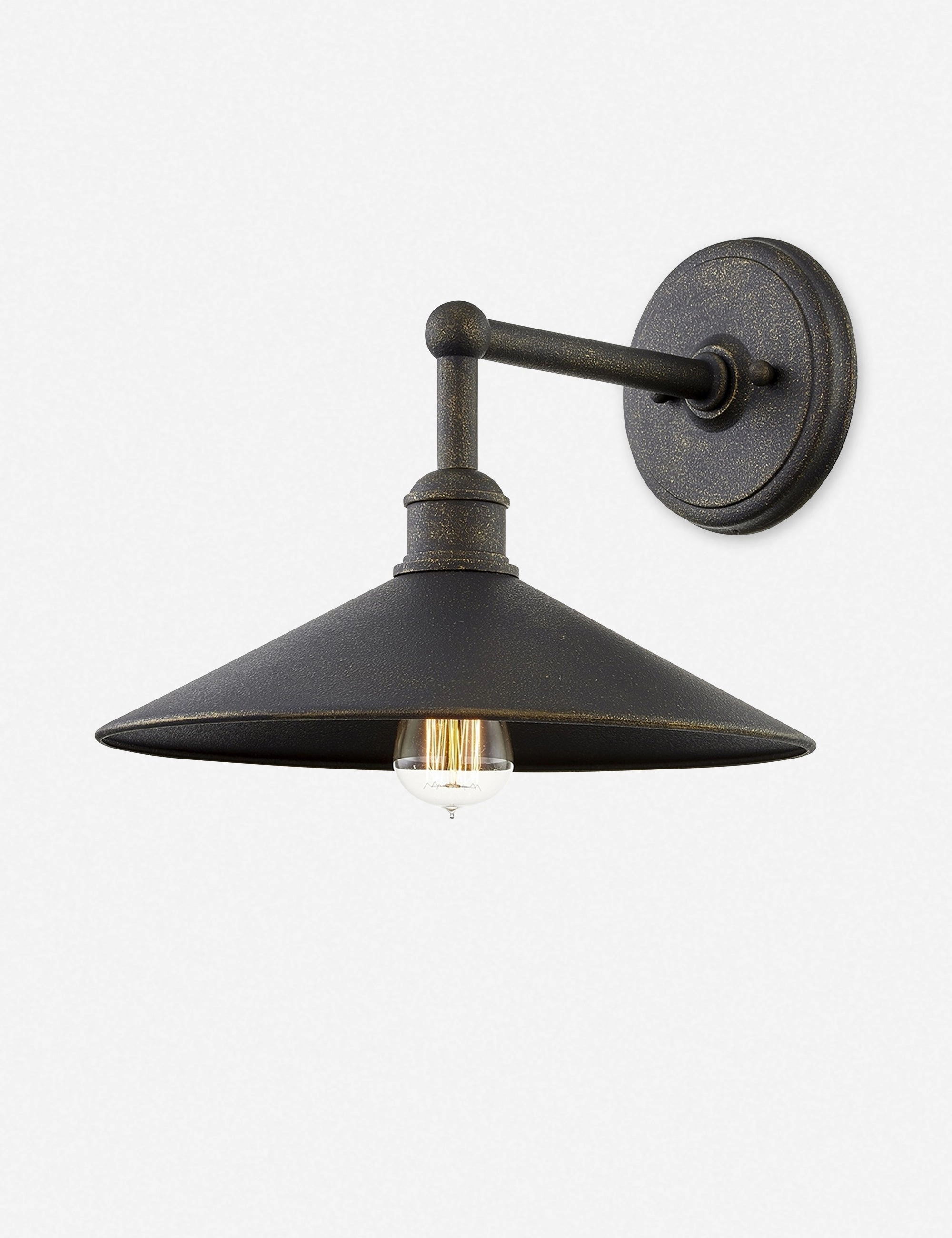 Capriana Outdoor Sconce ambient lighting fixture