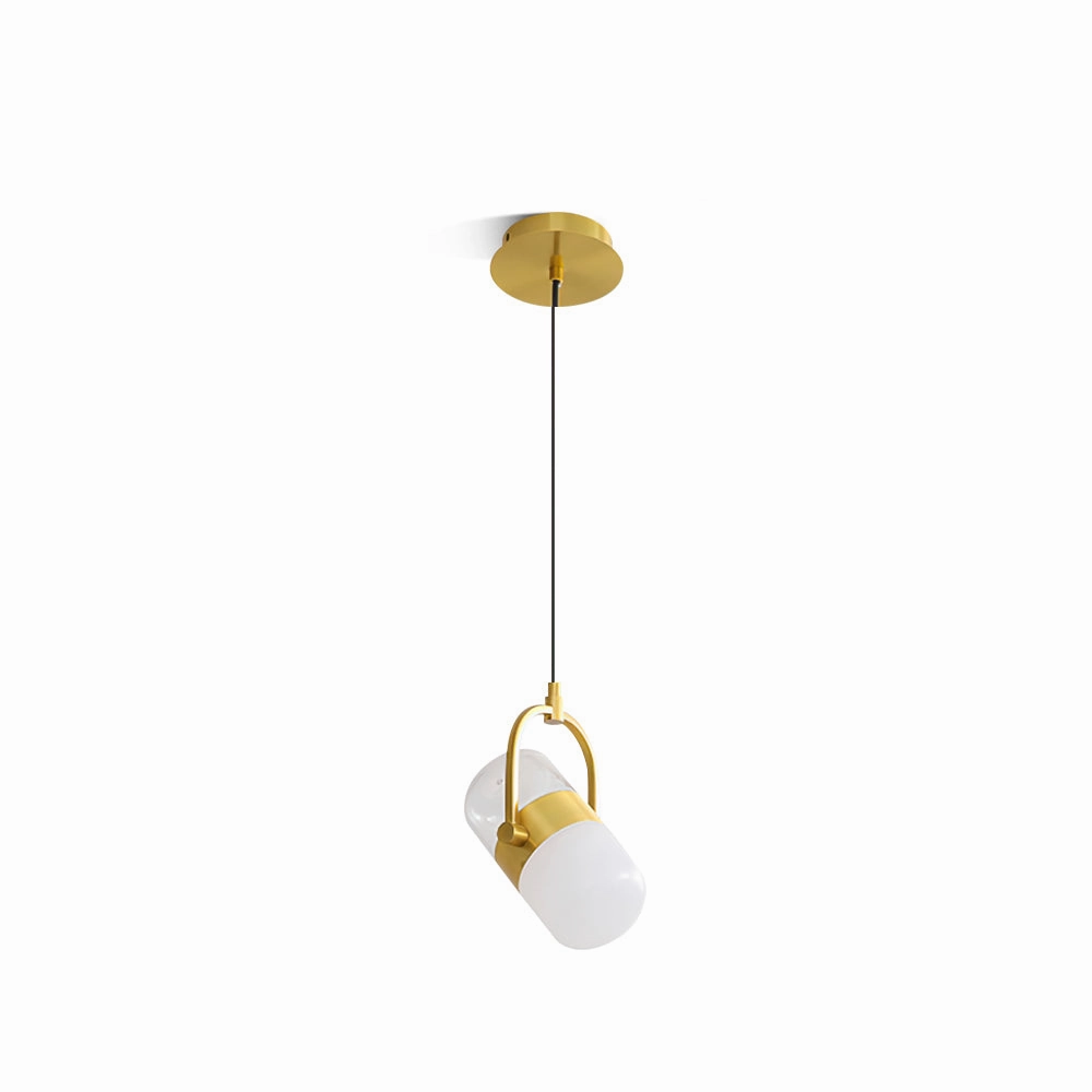 Capsule Rotating Pendant Lamp minimalist ceiling light