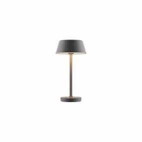 COMPANION BIG T2 BORDLAMPE MAT GR - ANTIDARK ambient lighting fixture