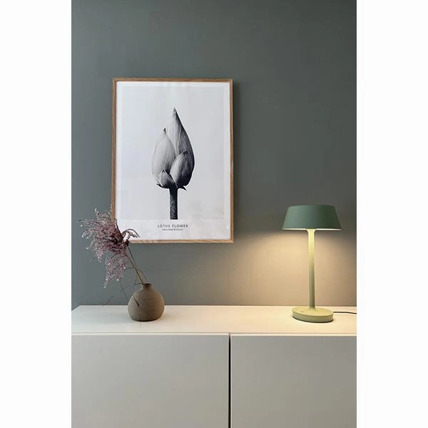 COMPANION BIG T2 BORDLAMPE MAT GRN - ANTIDARK