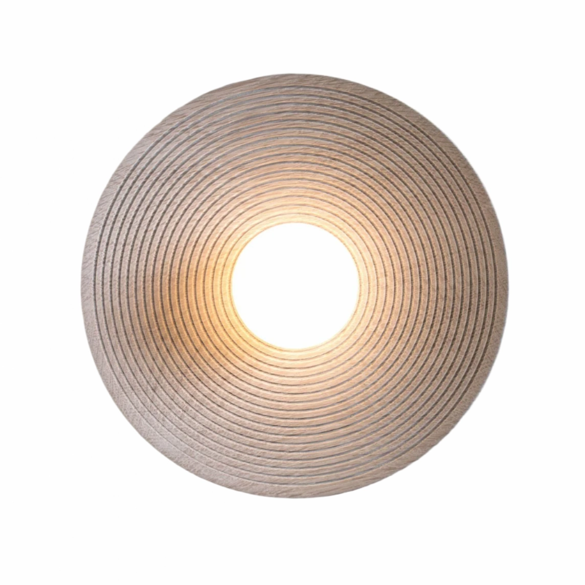 Concentric 10"