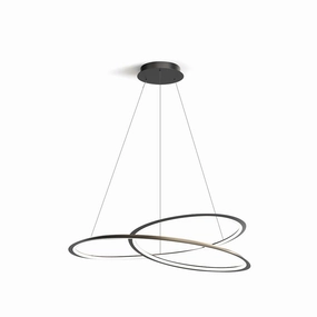 Curves LED Pendant Lamp minimalist ceiling light