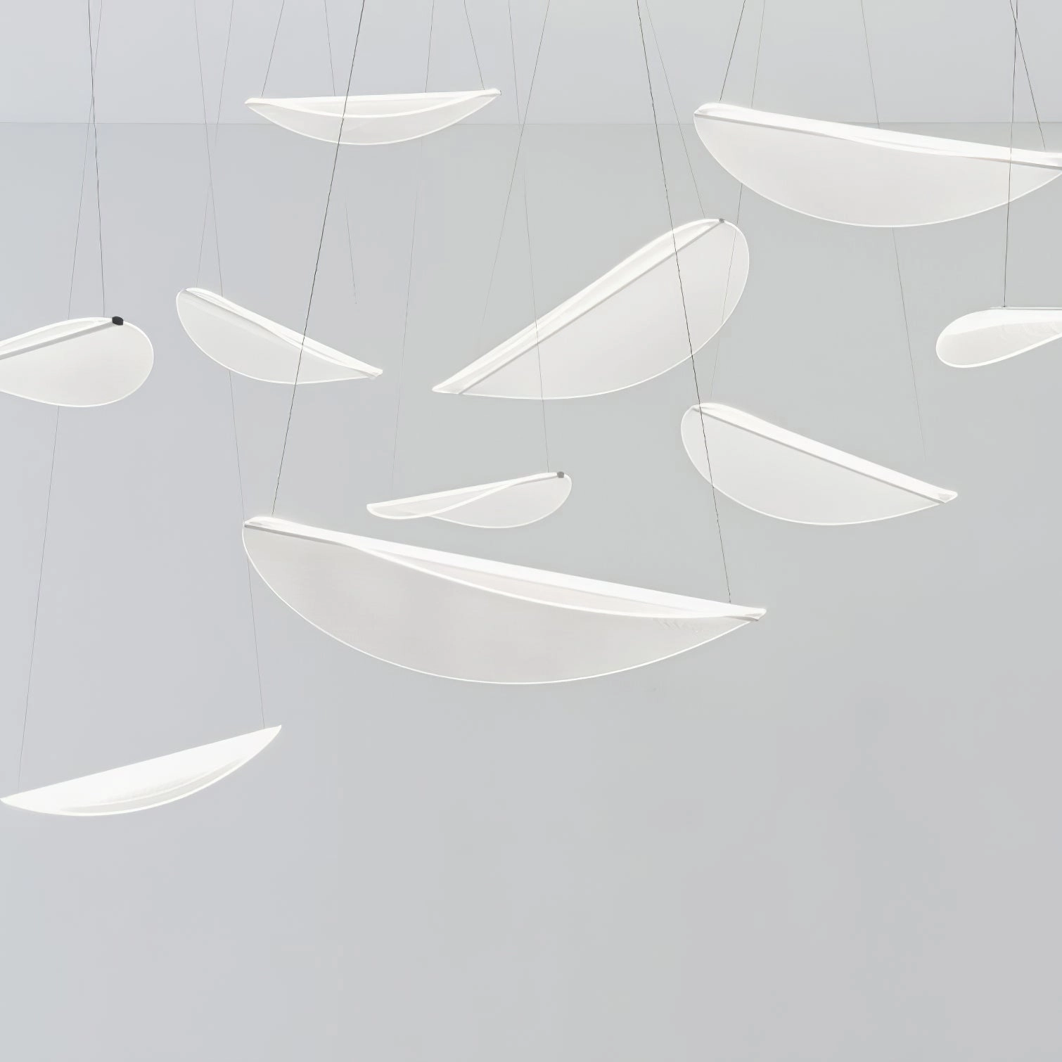 Diphy Pendant Lamp