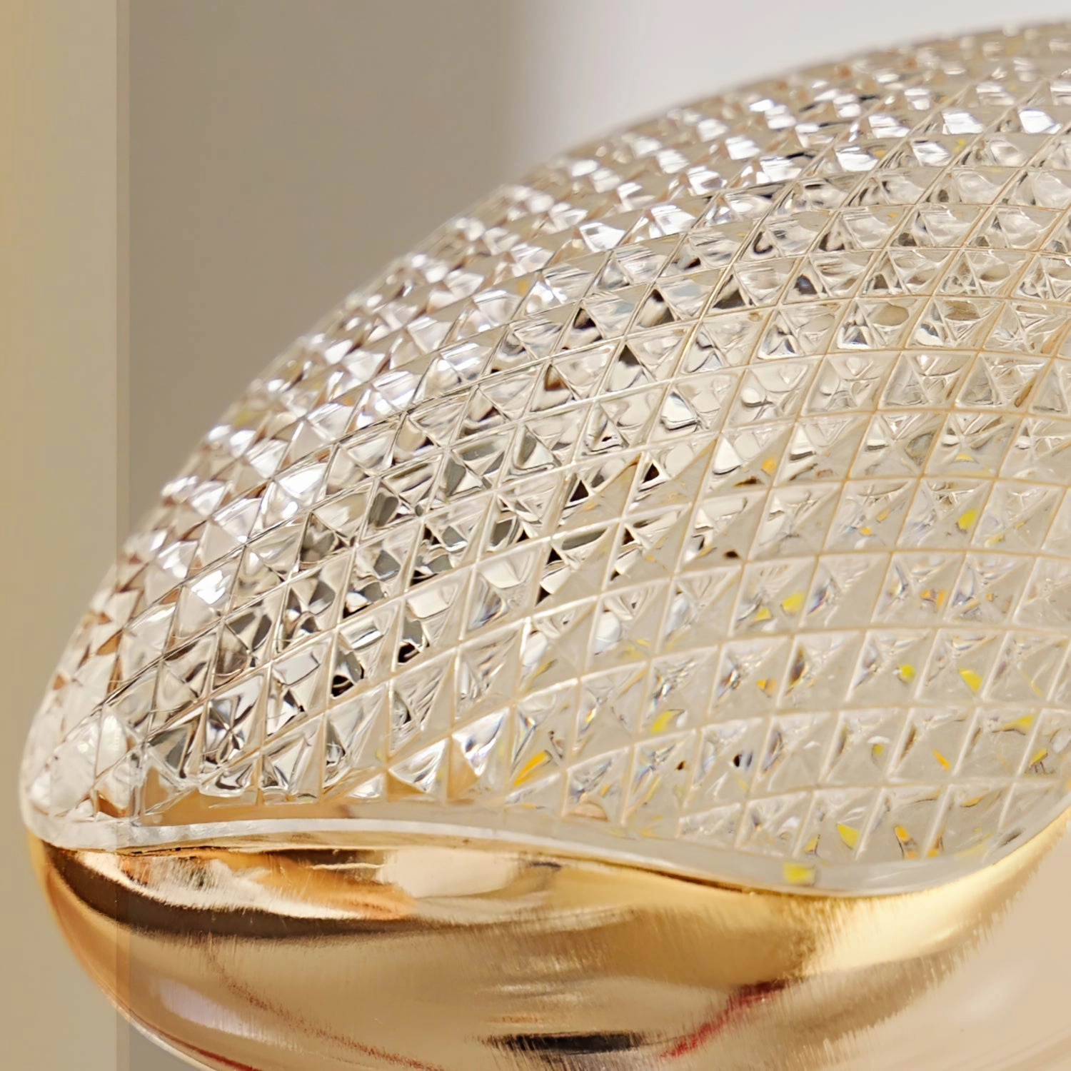 Dolphin Pendant Lamp