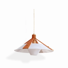 Domus Pendant Lamp minimalist ceiling light