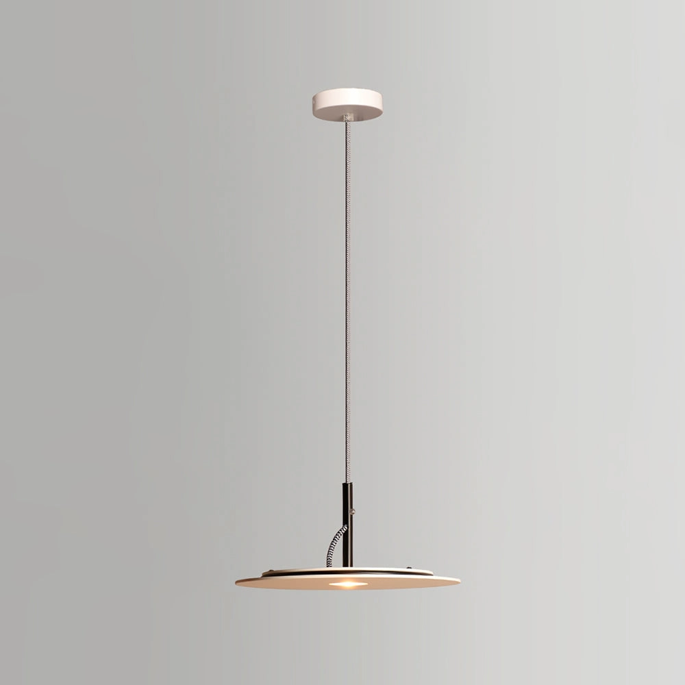 Eaves Pendant Lamp