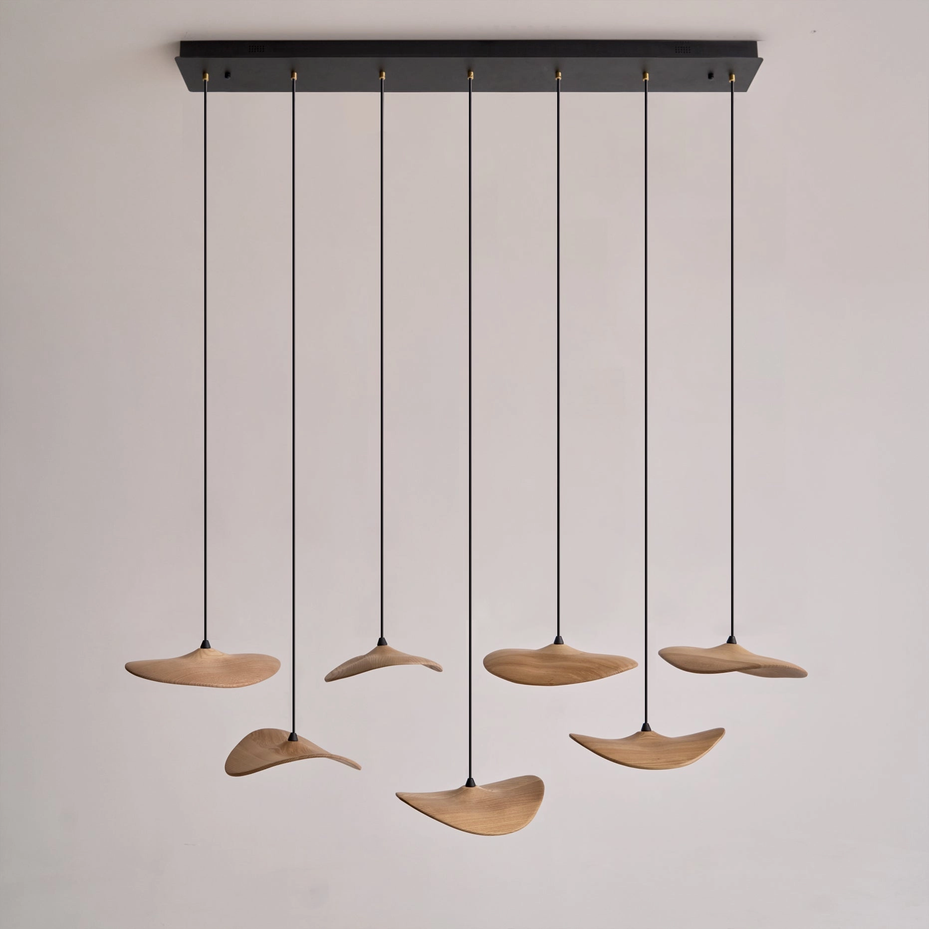 Empty Leaf Chandelier