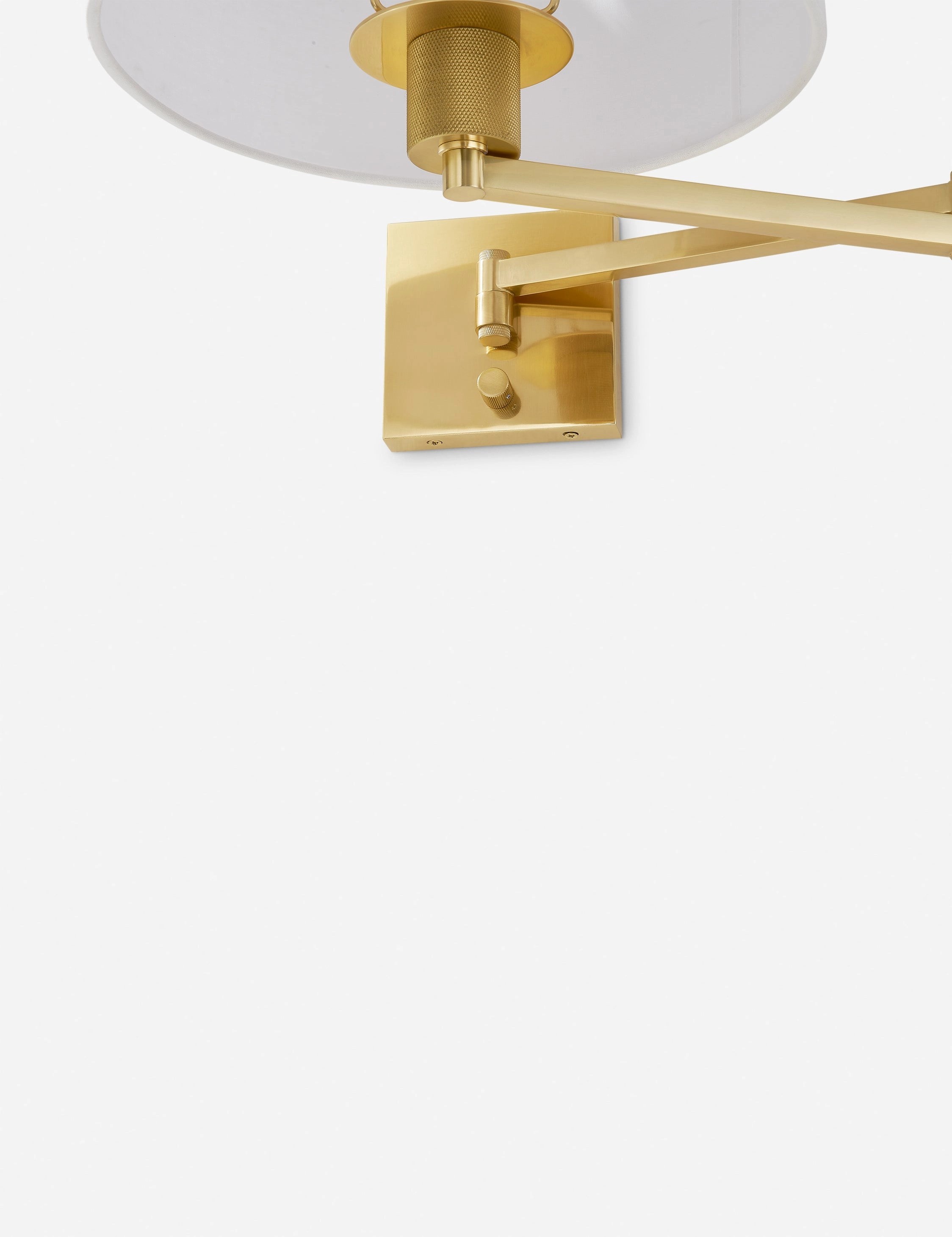 Evelina Sconce