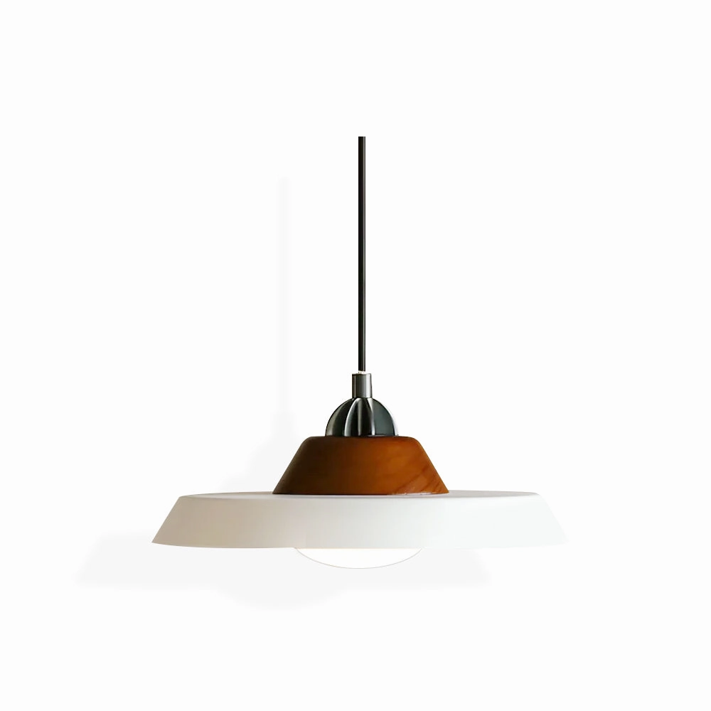 Far Pendant Lamp minimalist ceiling light