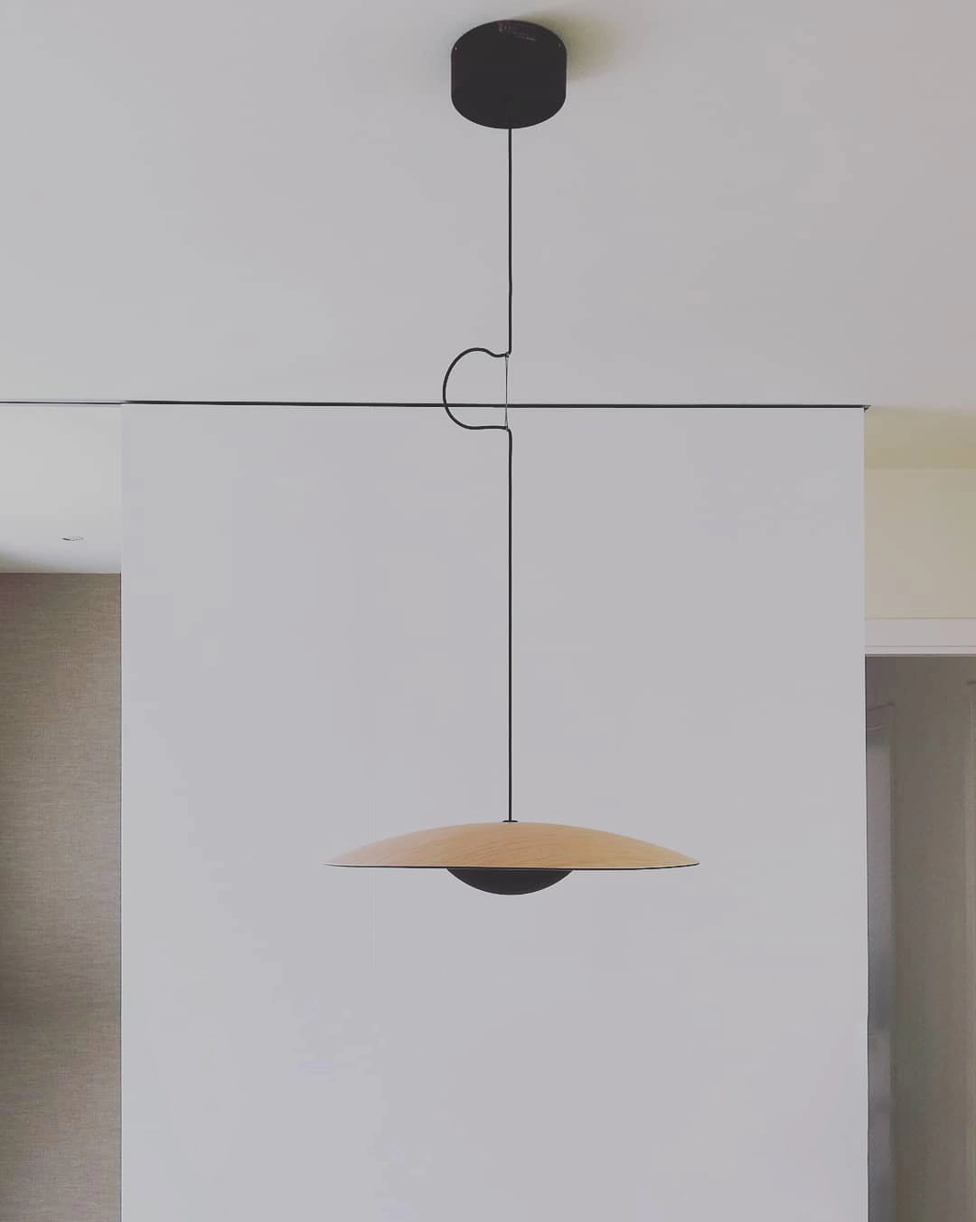 Ginger Pendant light