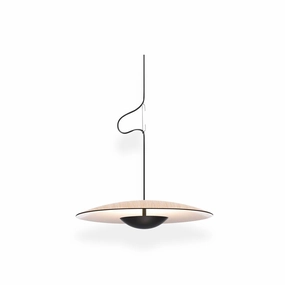 Ginger Pendant light minimalist ceiling light