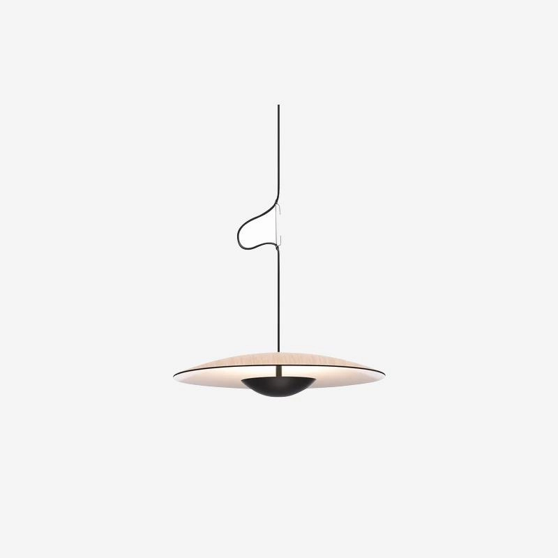 Ginger Pendant light