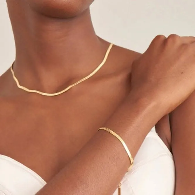 Gold Flat Snake Chain Bracelet B046-01G Ania Haie Jewellery