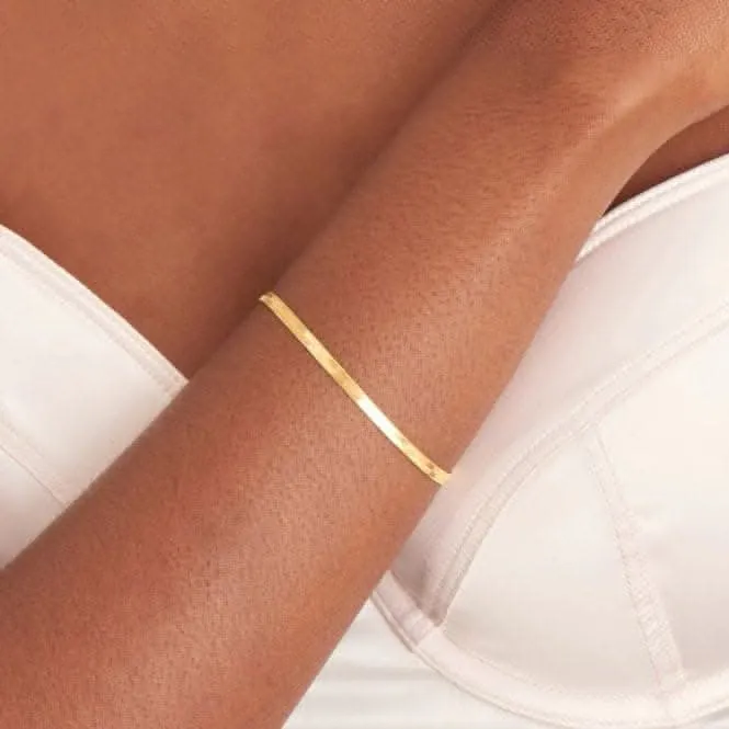 Gold Flat Snake Chain Bracelet B046-01G Ania Haie Jewellery