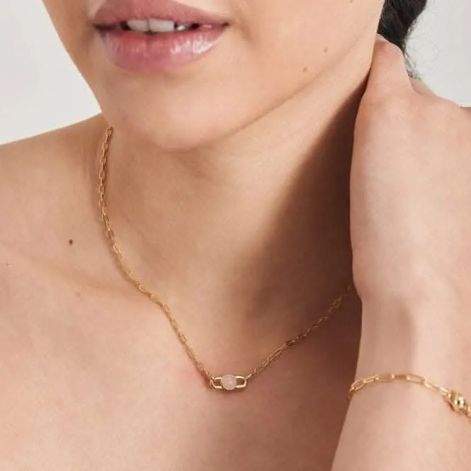 Gold Orb Rose Quartz Link Necklace N045-05G-RQ Ania Haie Jewellery