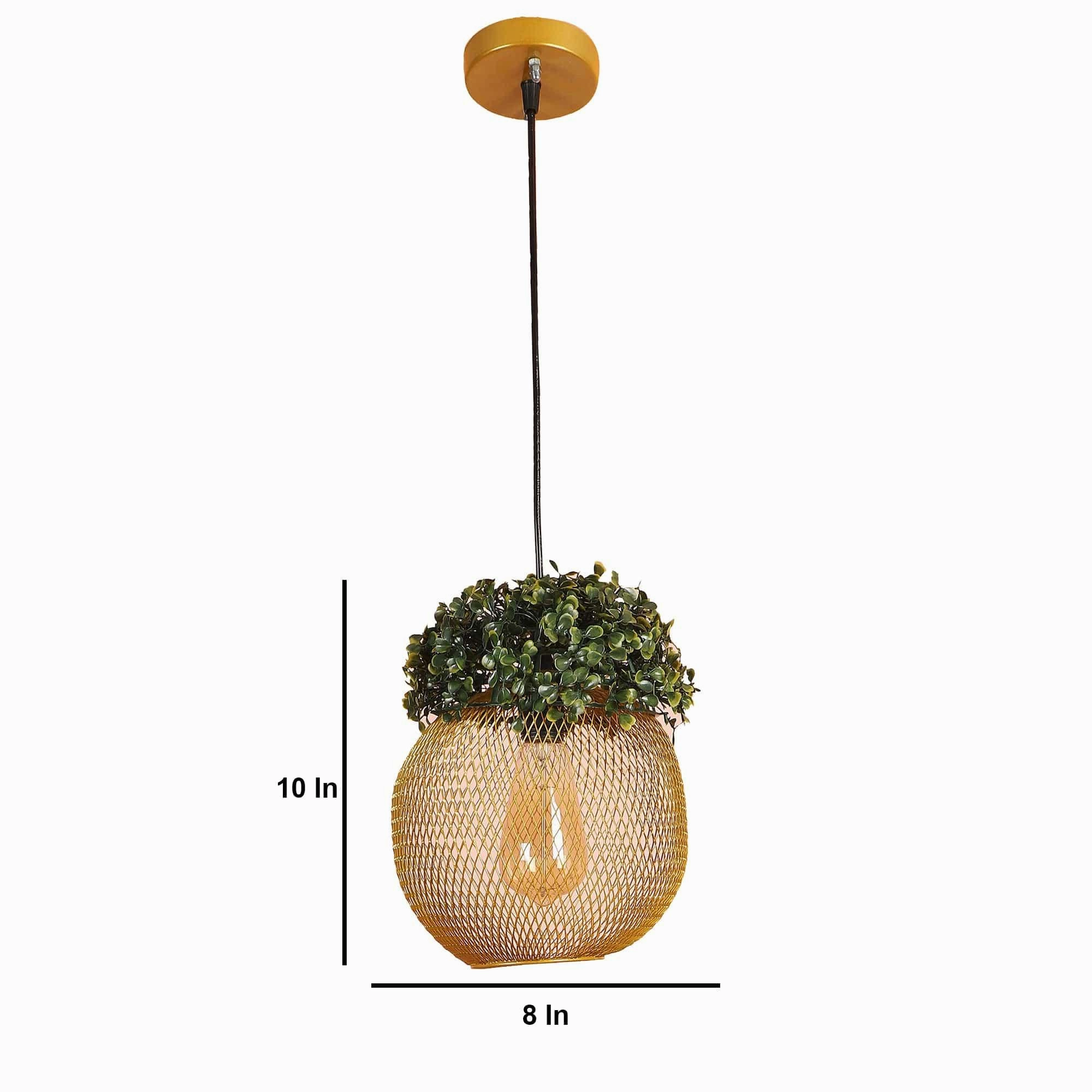 Golden Glass Iron Hanging Lights