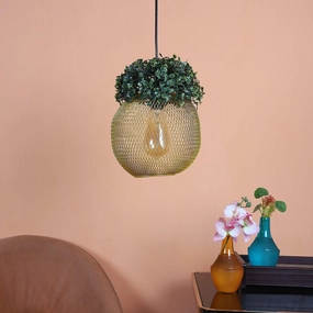 Golden Glass Iron Hanging Lights contemporary ceiling fixture