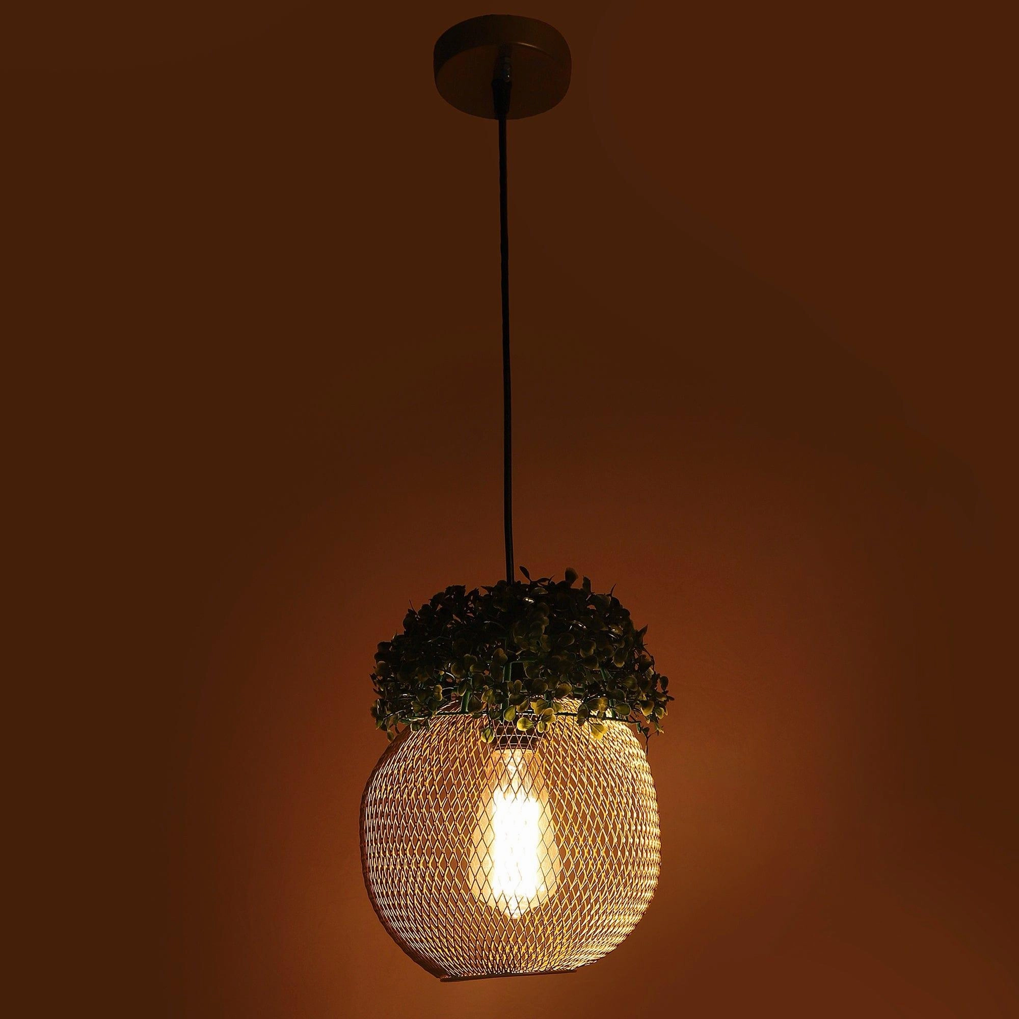 Golden Glass Iron Hanging Lights