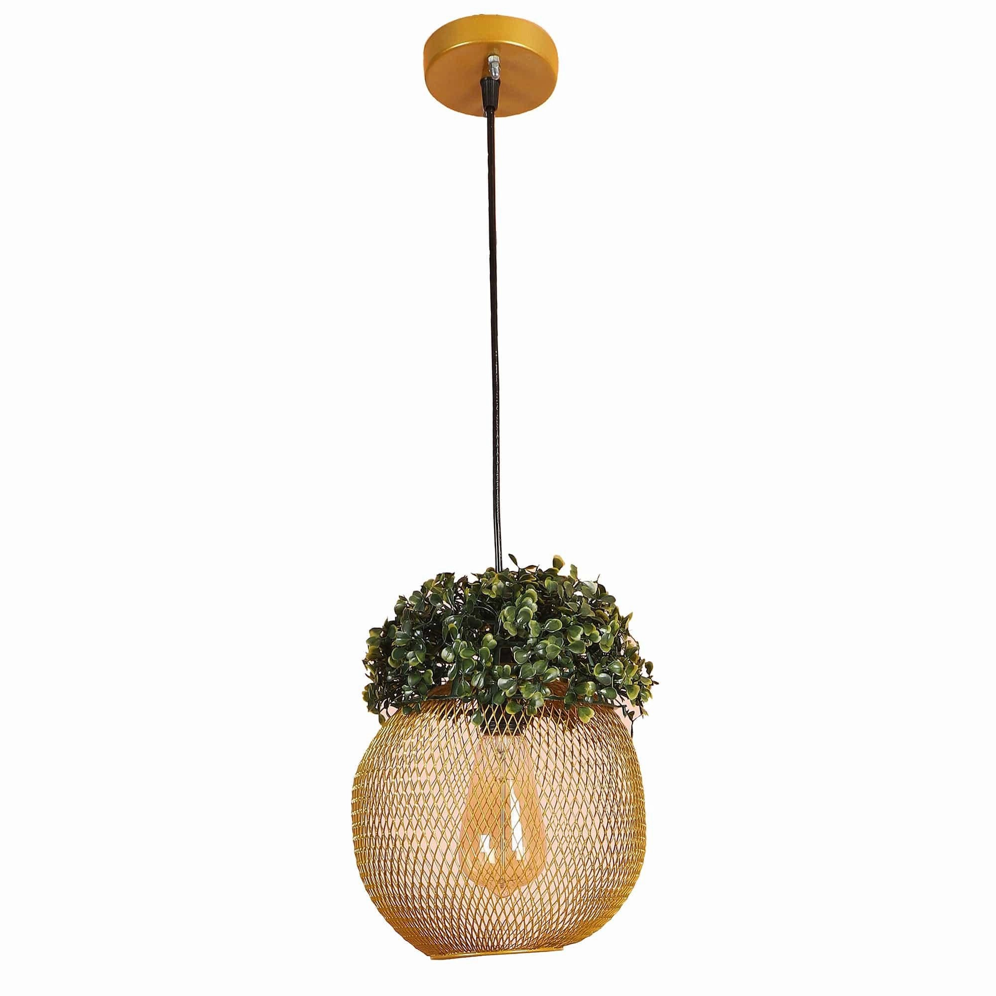 Golden Glass Iron Hanging Lights