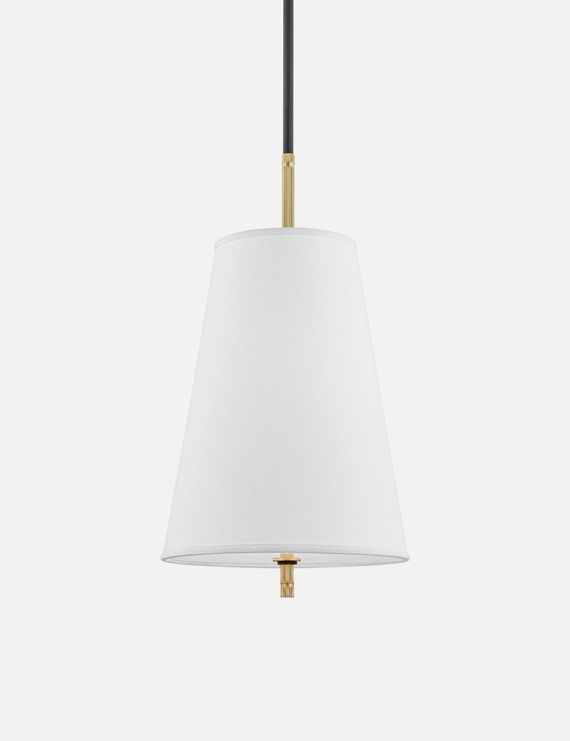 Hamilton Pendant Light modern ceiling lamp