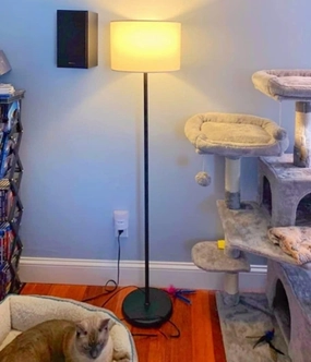 Iron Floor LAMP for Living Room Corner garden LED light