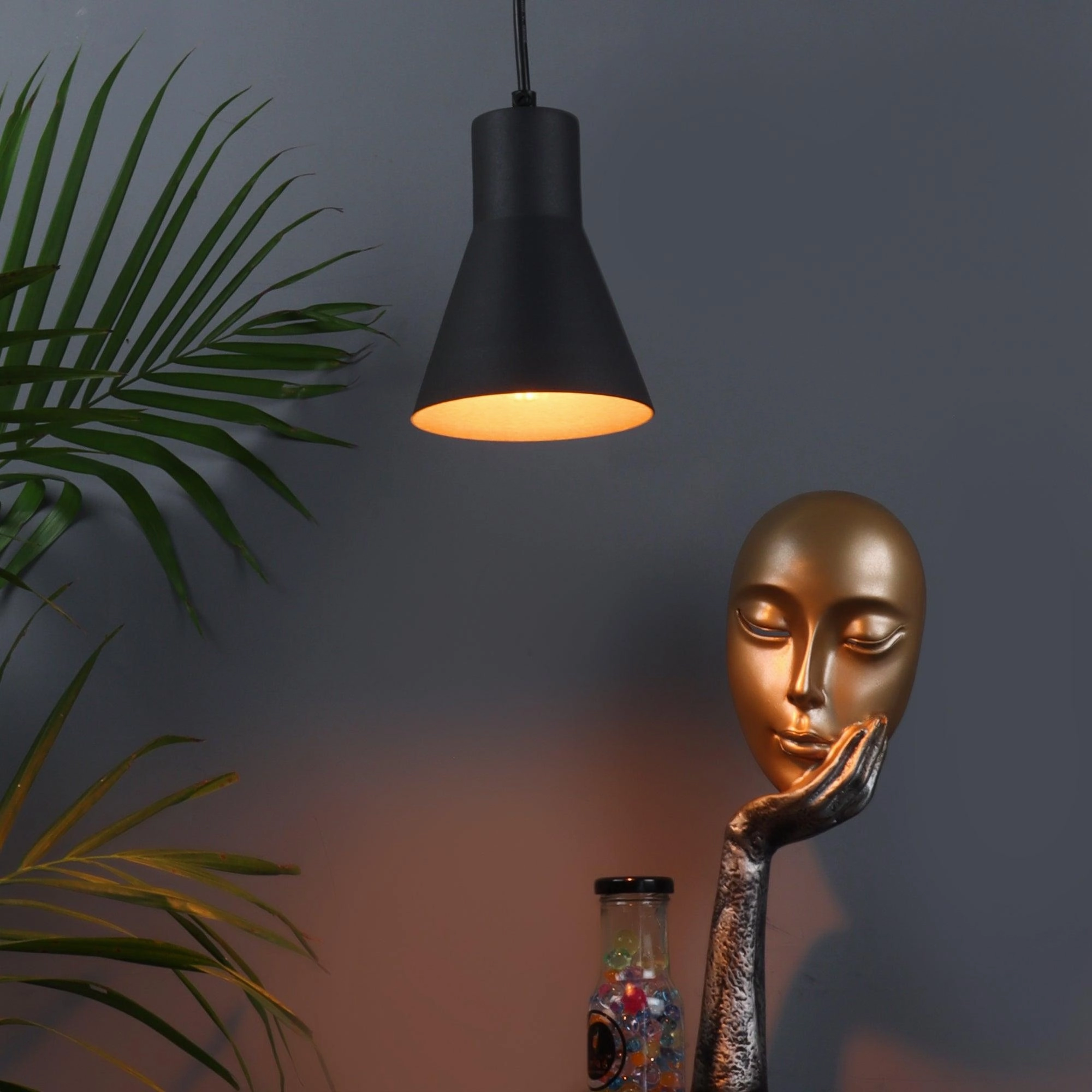 Limpid Black Hanging Light by SS Lightings