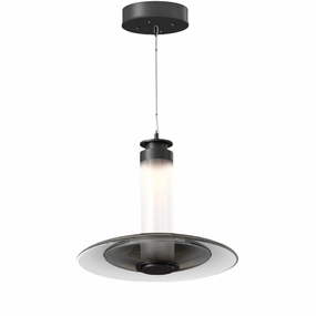 Luna A Small Disc Pendant rechargeable bedside light