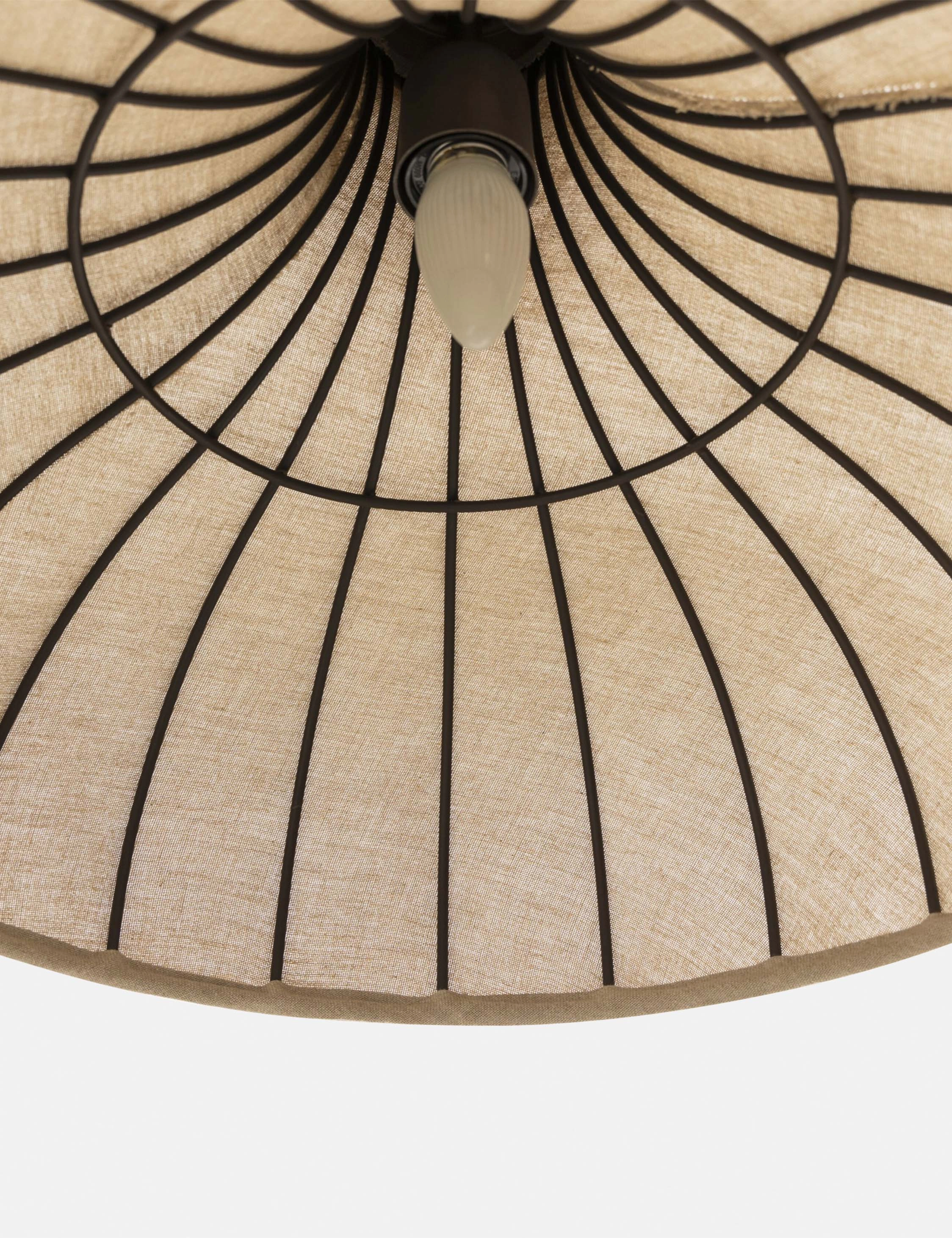 Maisano Pendant Light