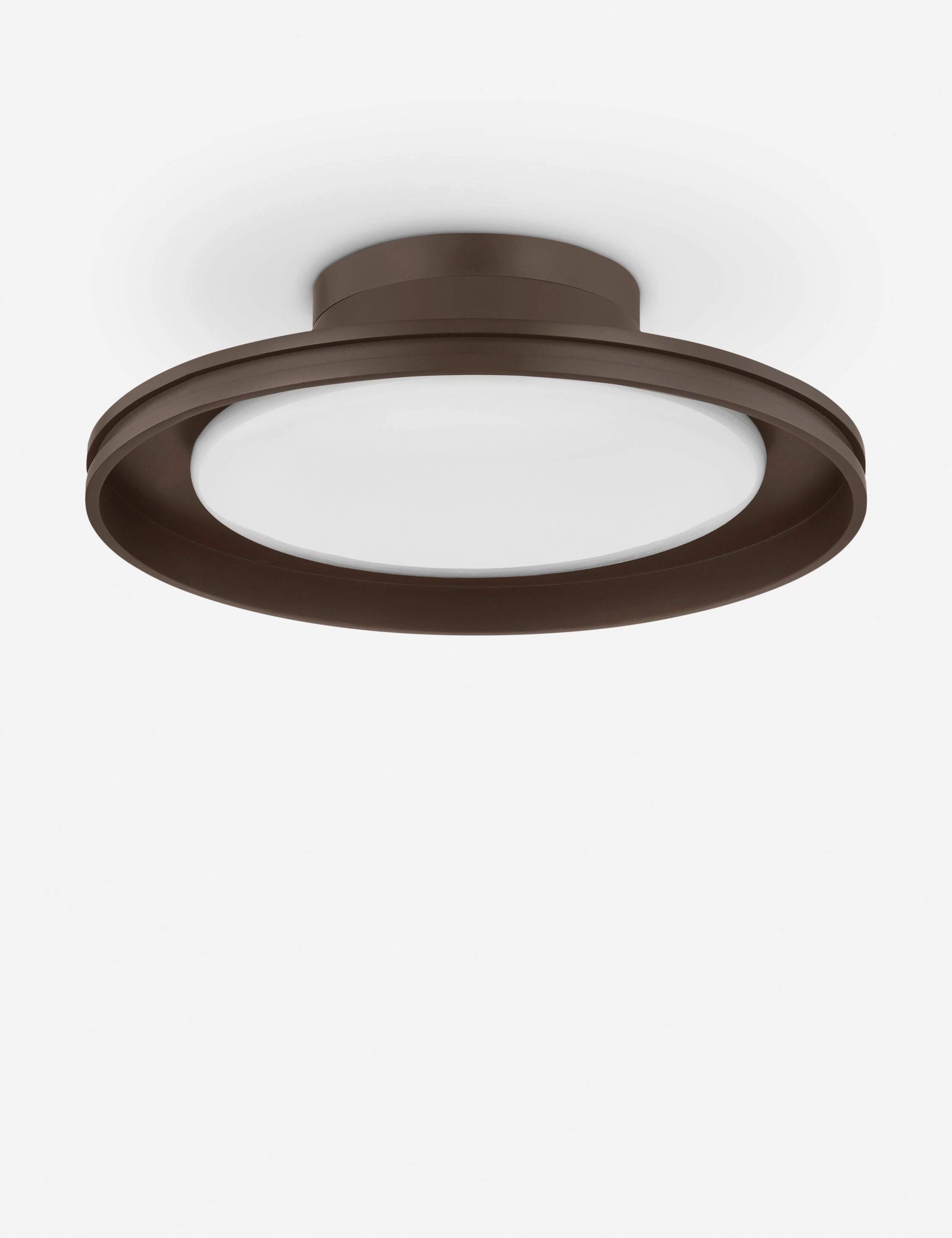 Marichelle Outdoor Flush Mount Light