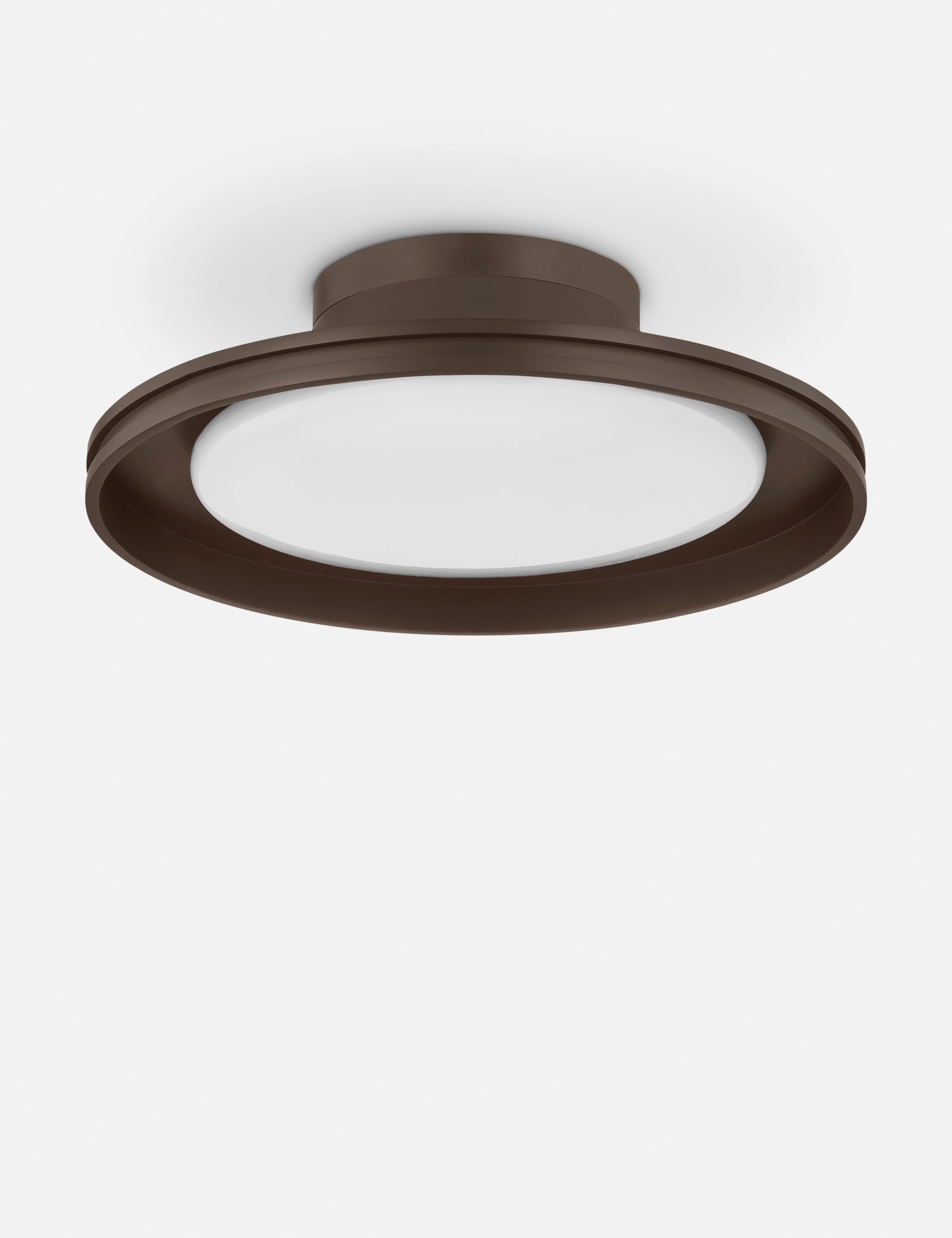 Marichelle Outdoor Flush Mount Light