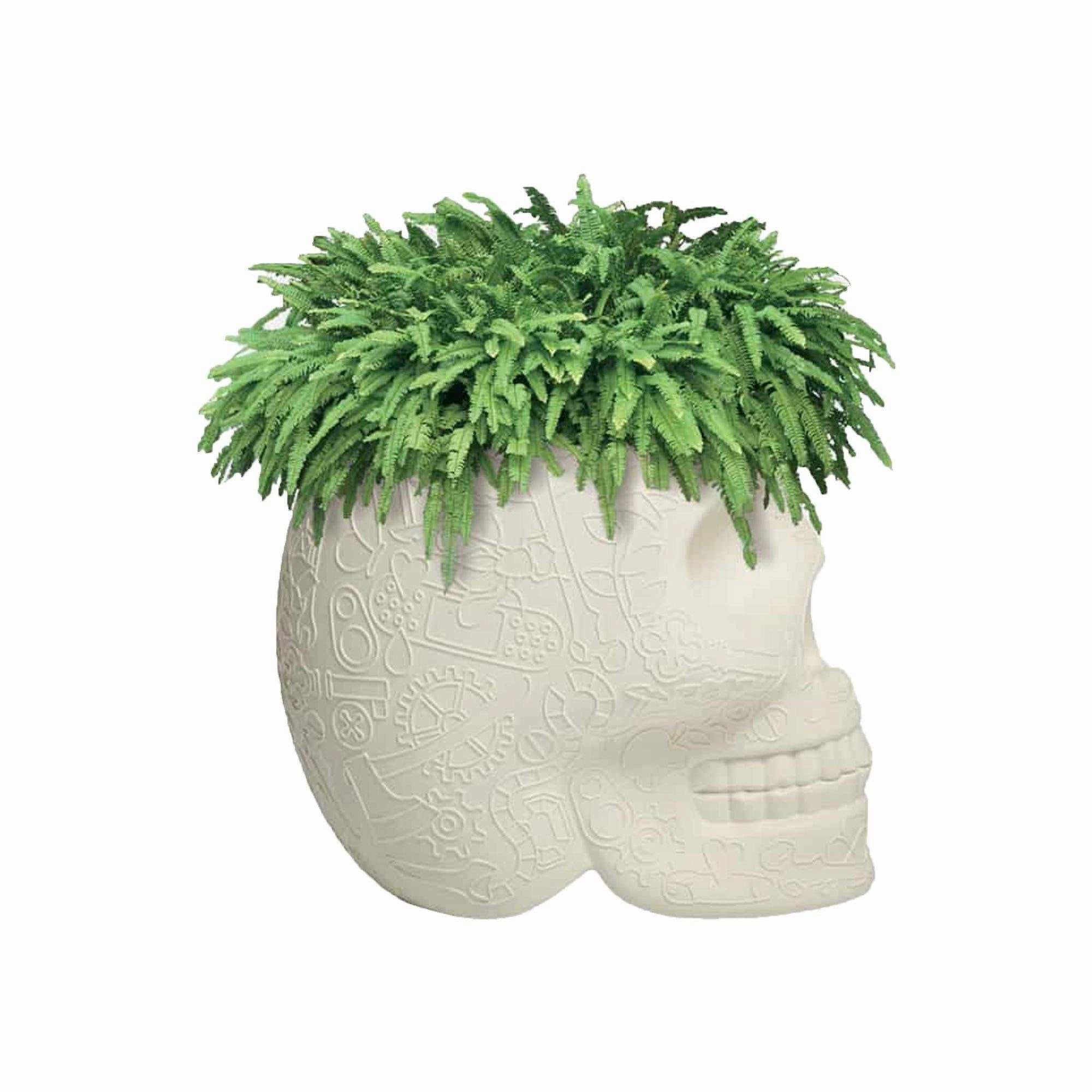Mexico Planter and Champagne Cooler