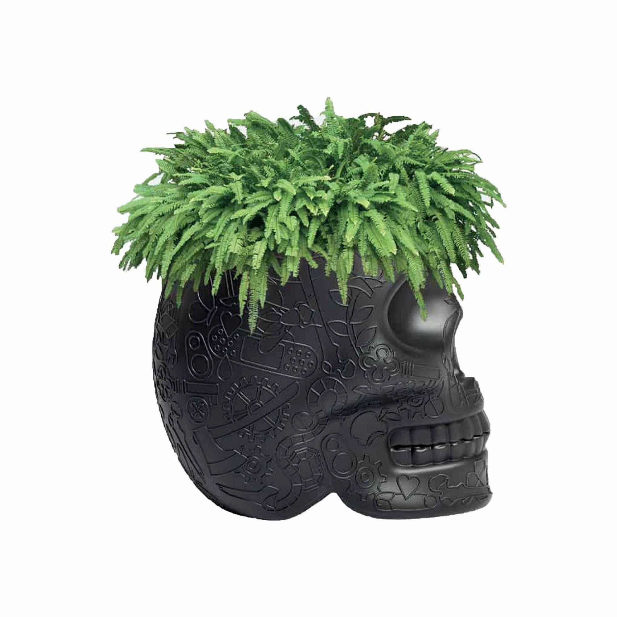 Mexico Planter and Champagne Cooler