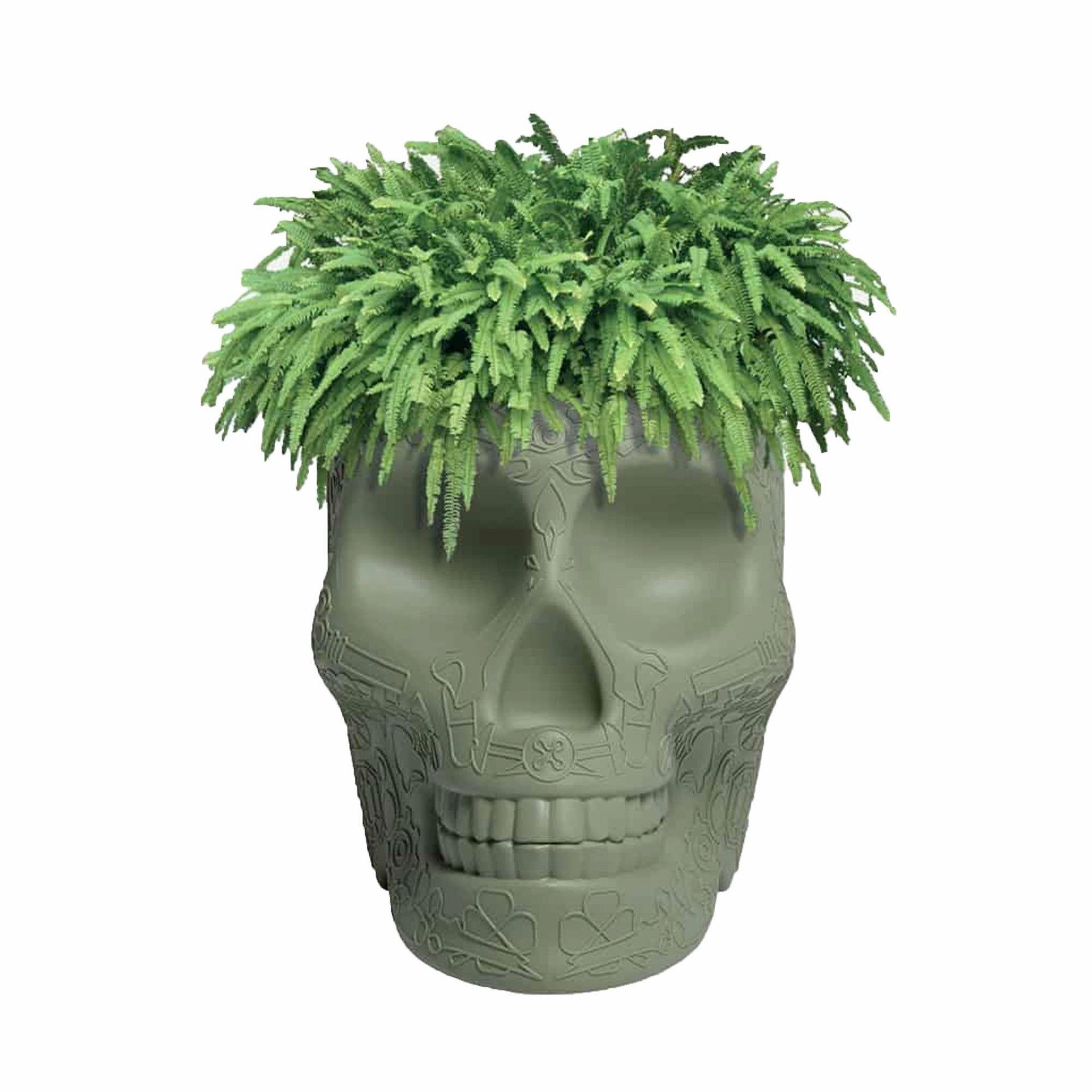 Mexico Planter and Champagne Cooler