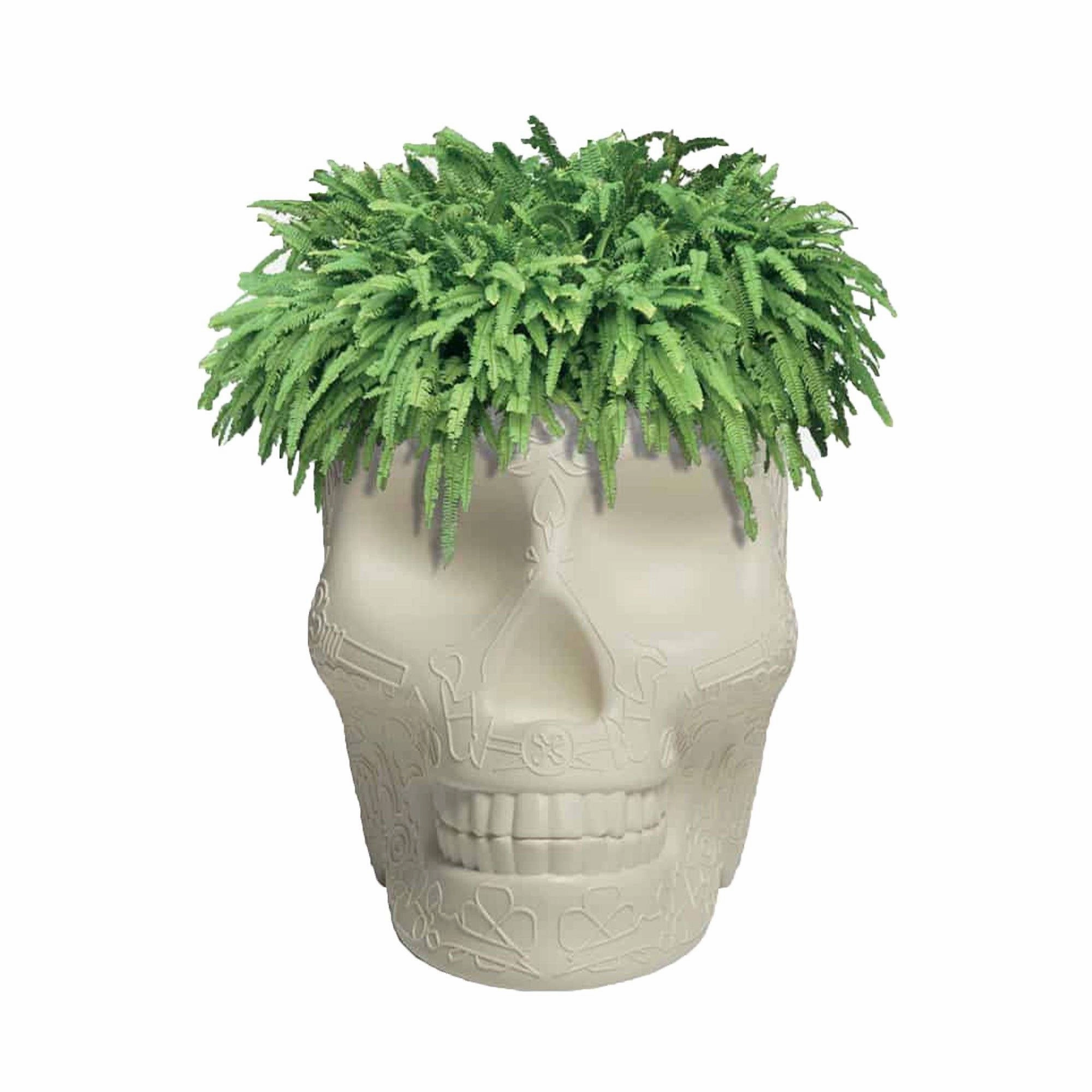 Mexico Planter and Champagne Cooler