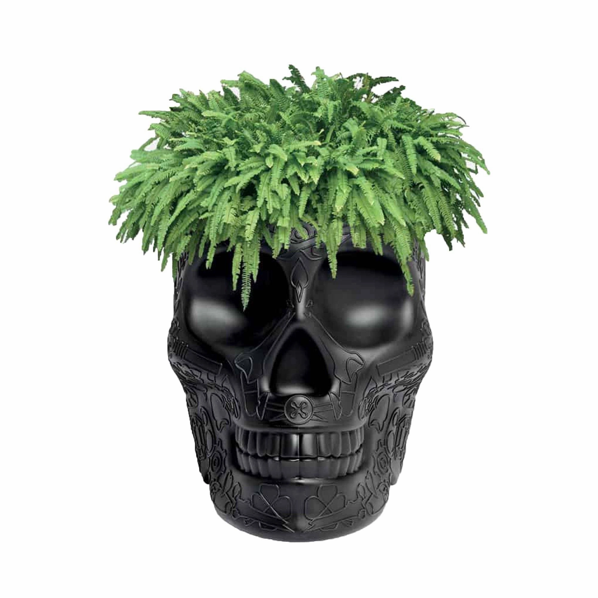 Mexico Planter and Champagne Cooler indoor ambient light